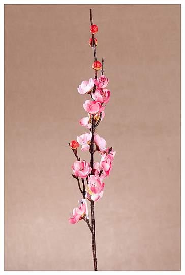 CHERRY TREE SPRING PINK