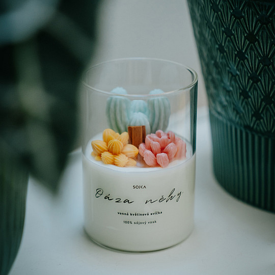 OASIS OF TENDERNESS scented floral candle with succulents with lid