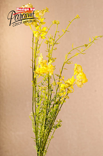 MEADOW FLOWERS yellow