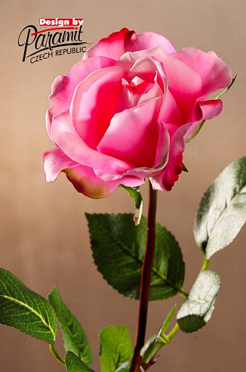Light pink rose 67 cm