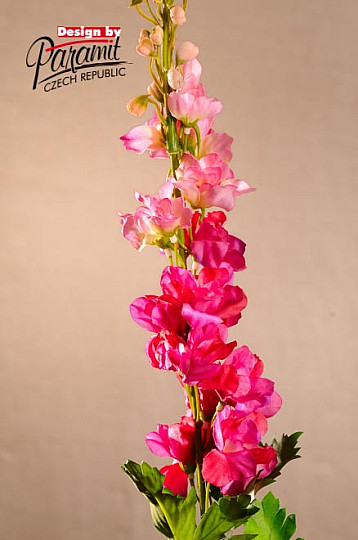 Delphinium burgundy 79 cm