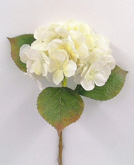 White hydrangea 48 cm