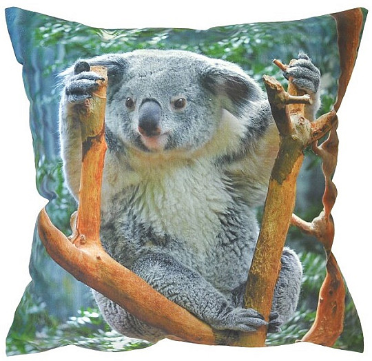 Decorative coating KOALA
