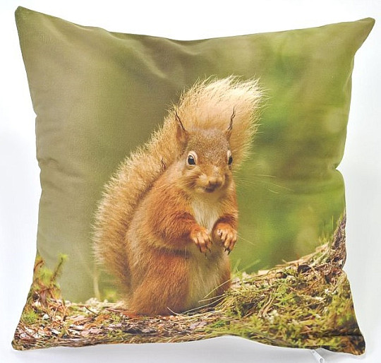 Decorative coating SQUIRREL