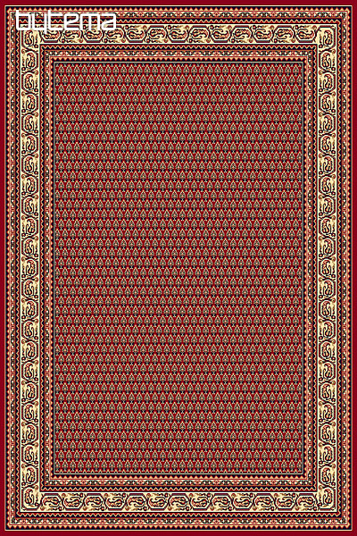 Carpet PRACTICA 26 red