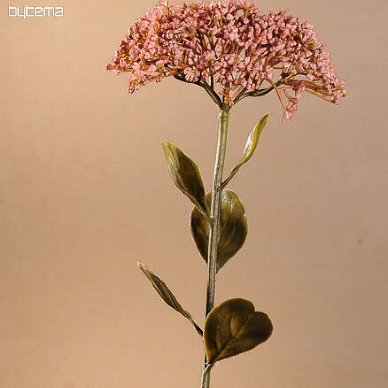 DRY FULL BLOOM SEDUM 46 cm old pink