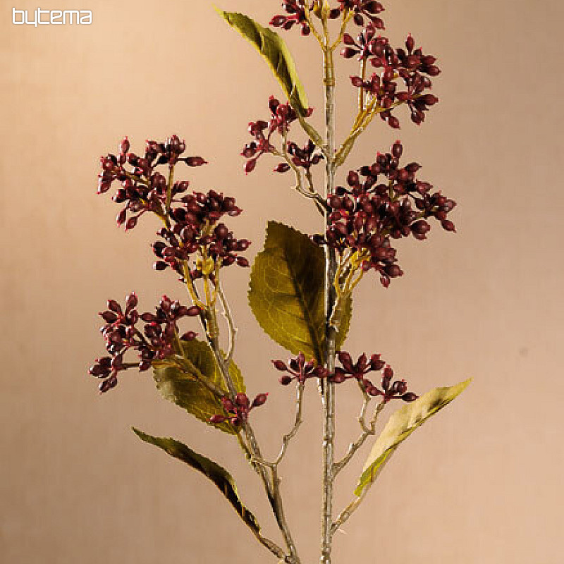 DRY VIBURNUM TINUS 58 cm burgundy