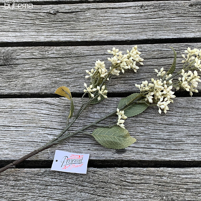 DRY VIBURNUM TINUS 58 cm white