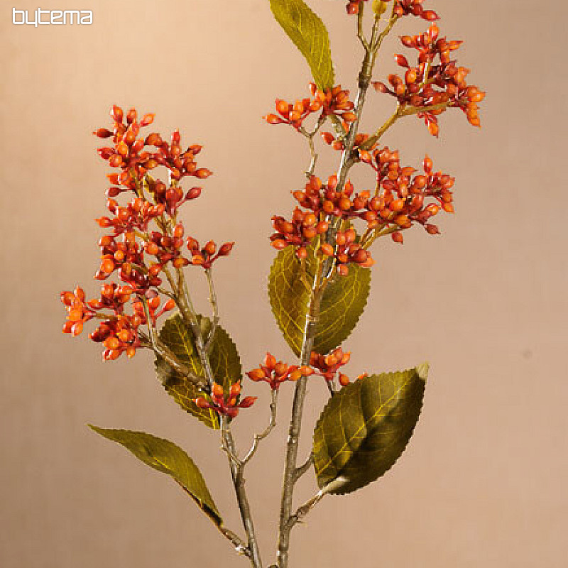 DRY VIBURNUM TINUS 58 cm orange