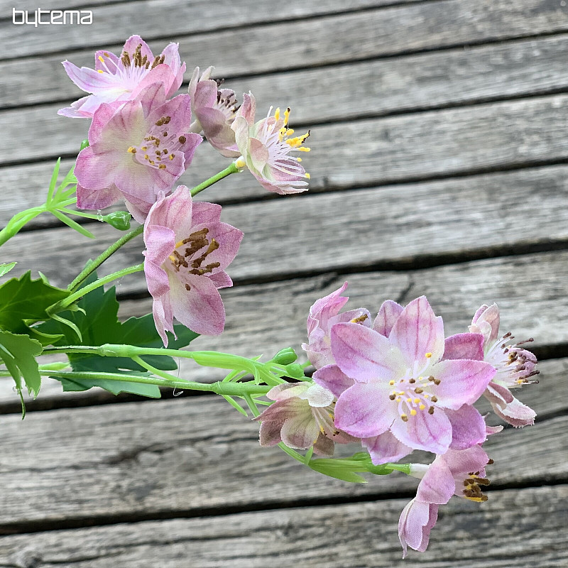 WILD FLOWER PINK