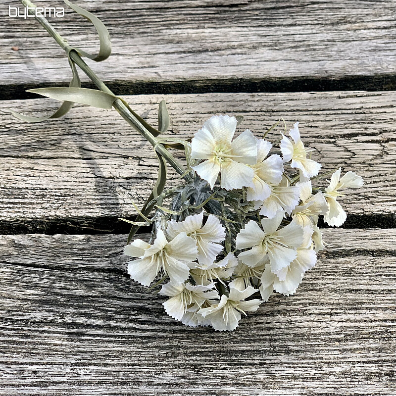 WHITE CARNATION
