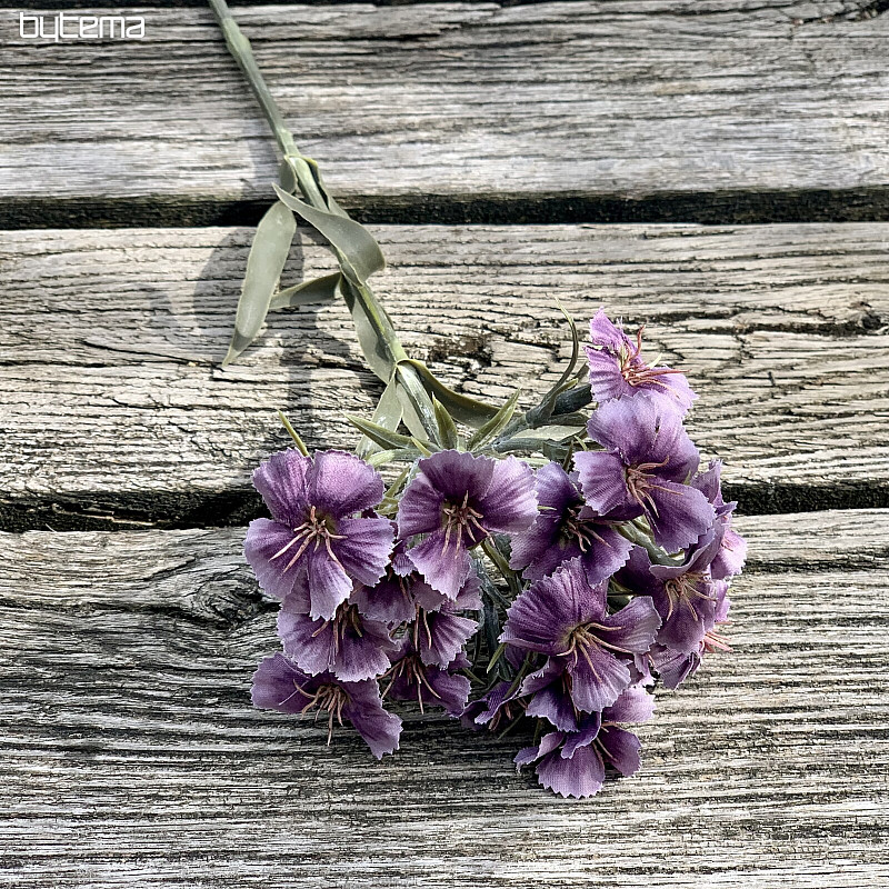 PURPLE CARNATION