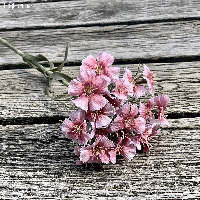 PINK CARNATION
