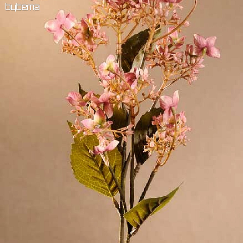 WILD HYDRANGEA PINK