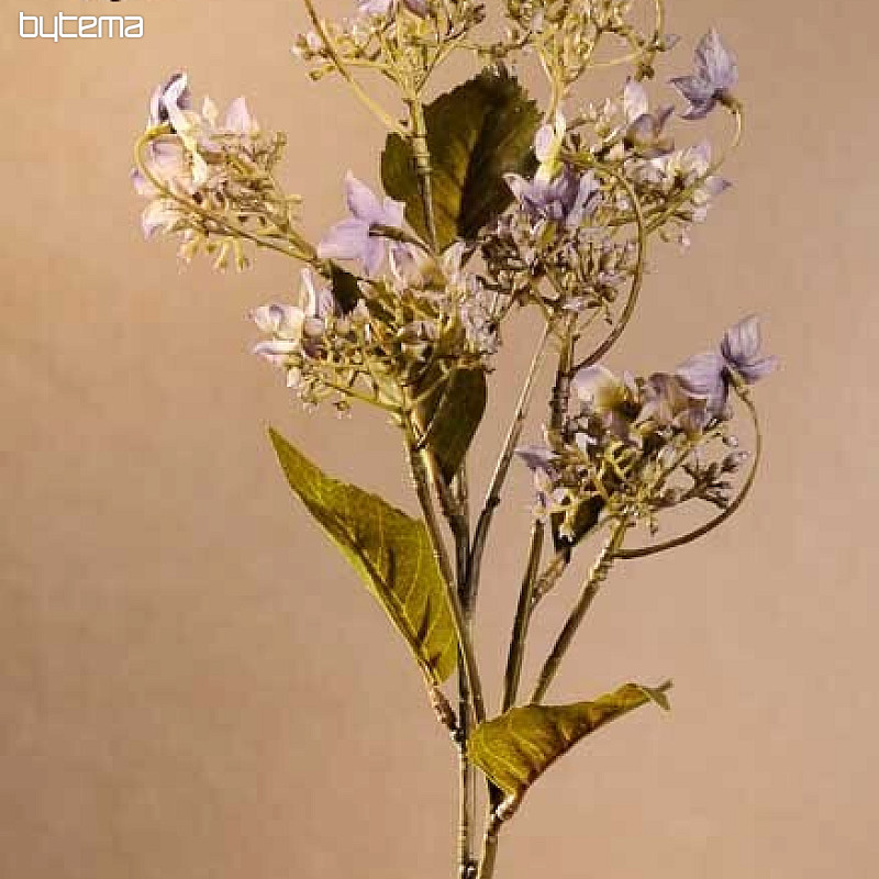 WILD HYDRANGEA BLUE