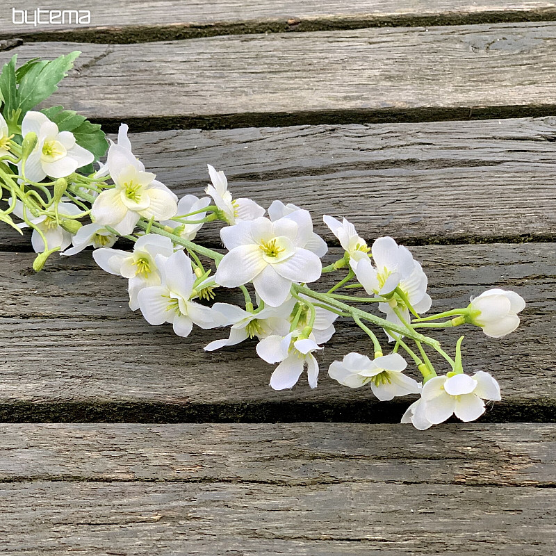 DELPHINIUM WHITE