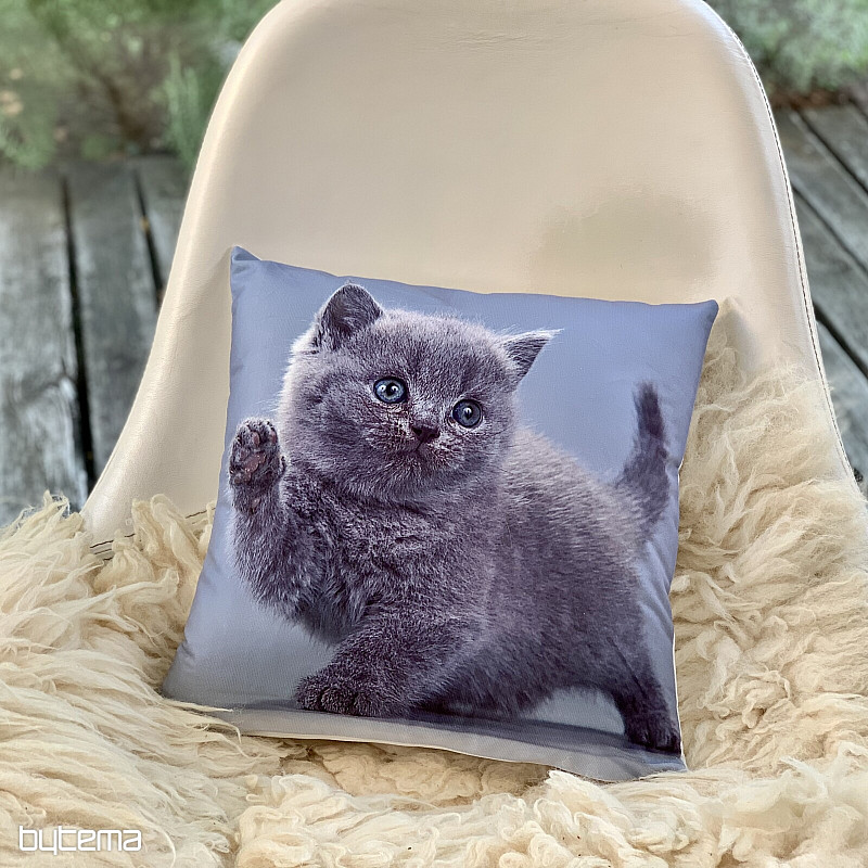 Decorative cover KITTY