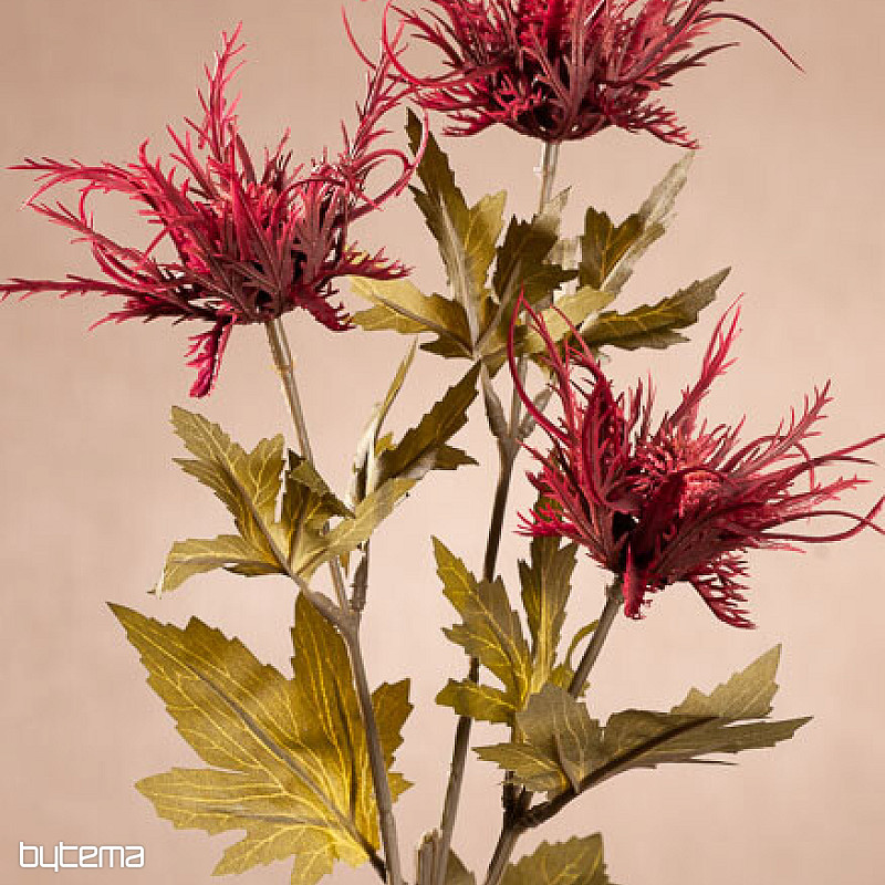 DRY WILD SEA HOLLY RED