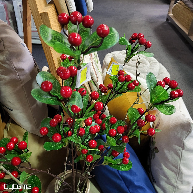 BARRY STEM RED