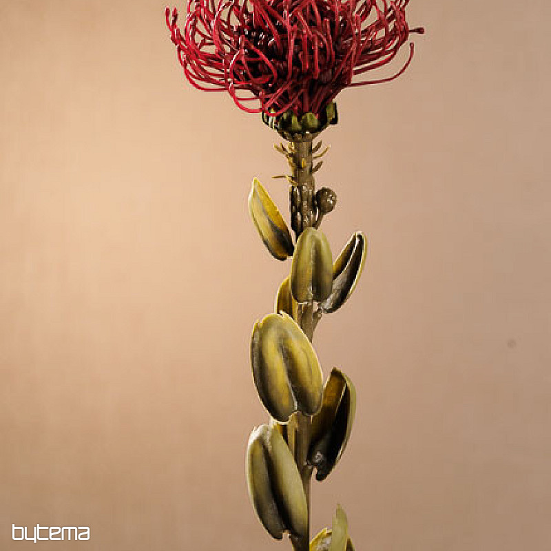 DRY SMALL PROTEA RED