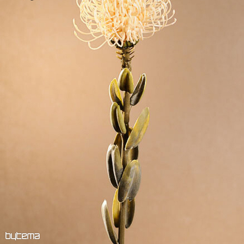 DRY SMALL PROTEA WHITE