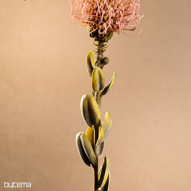 DRY SMALL PROTEA PINK