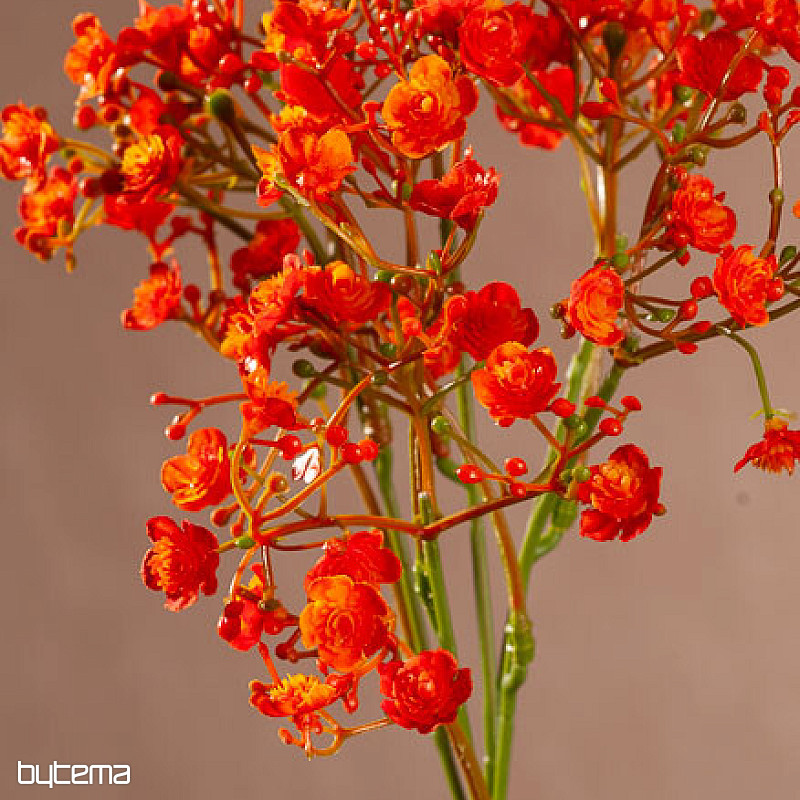 GYPSUM SPRAY ORANGE