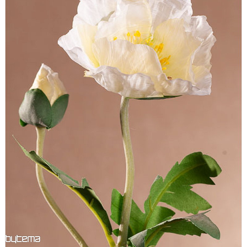 WHITE POPPY