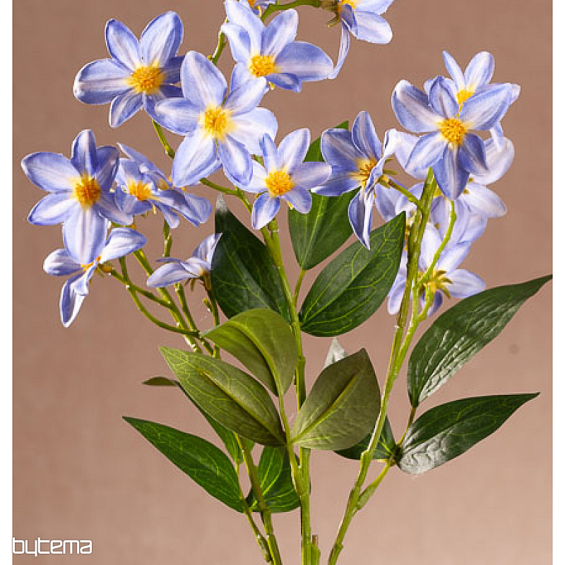 CLEMATIS BLUE