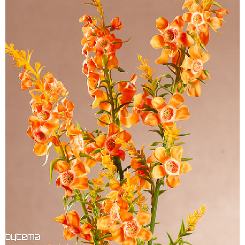 ORANGE CHILDREN