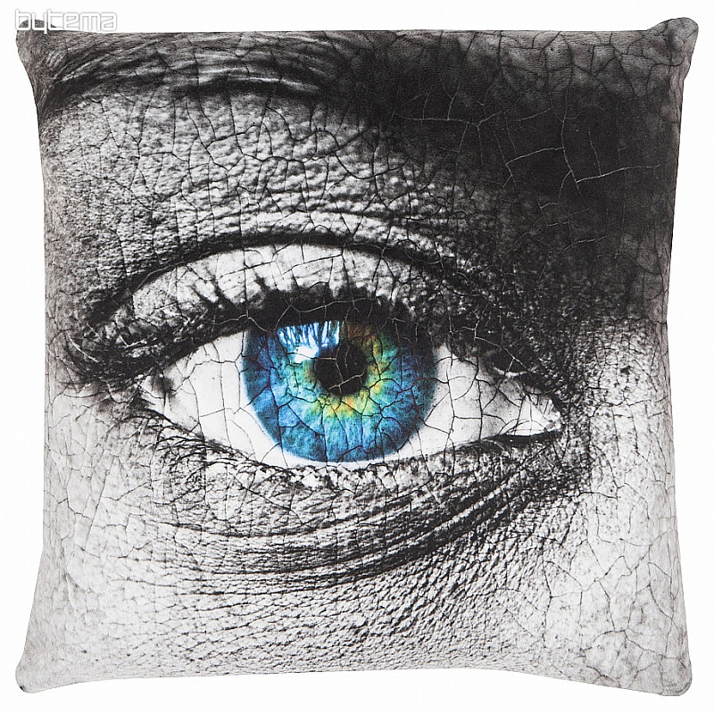 Decorative pillow VELVET Silver eye