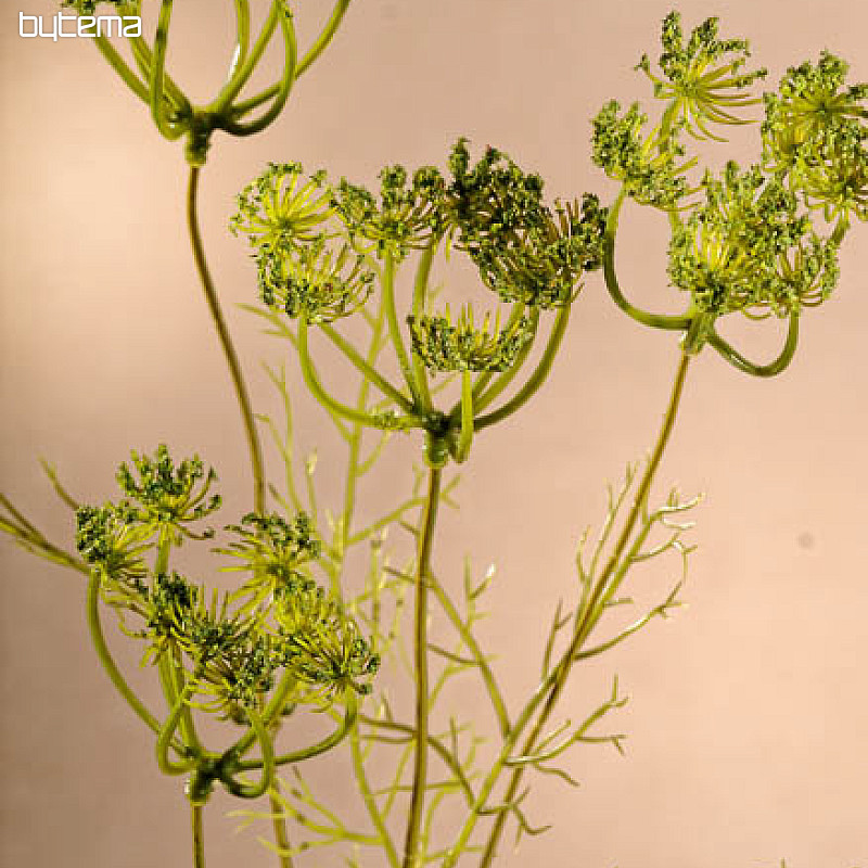 Green dill 80 cm
