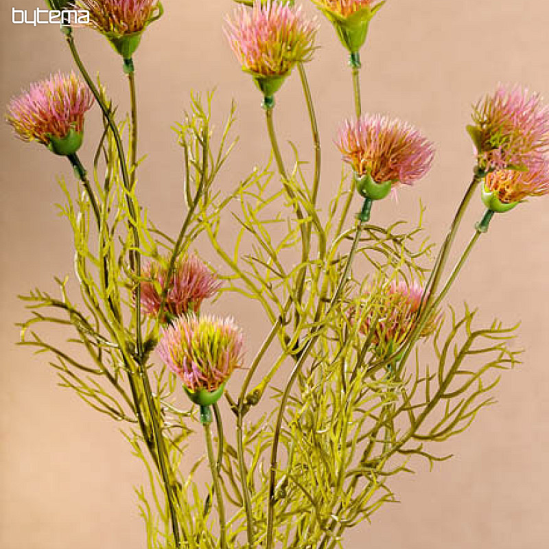 Cornflower pink 56 cm