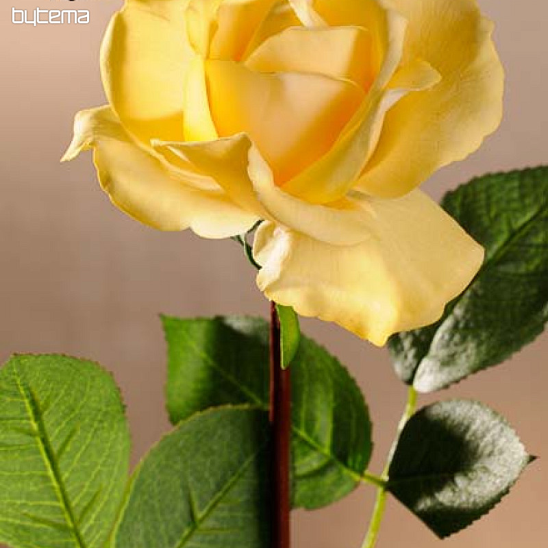 Yellow rose 67 cm