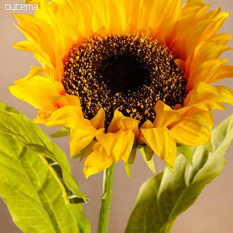 Sunflower flower 75 cm