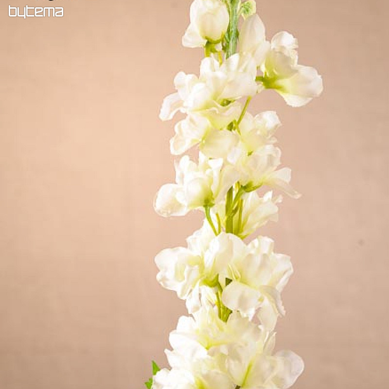 Delphinium white 79 cm