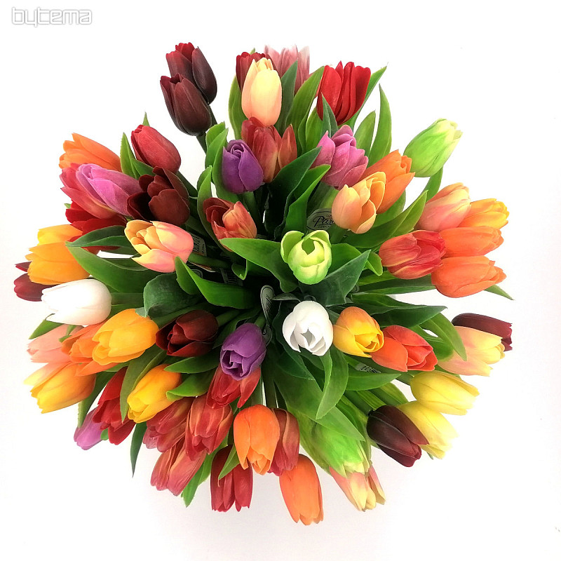 Tulips mix colors