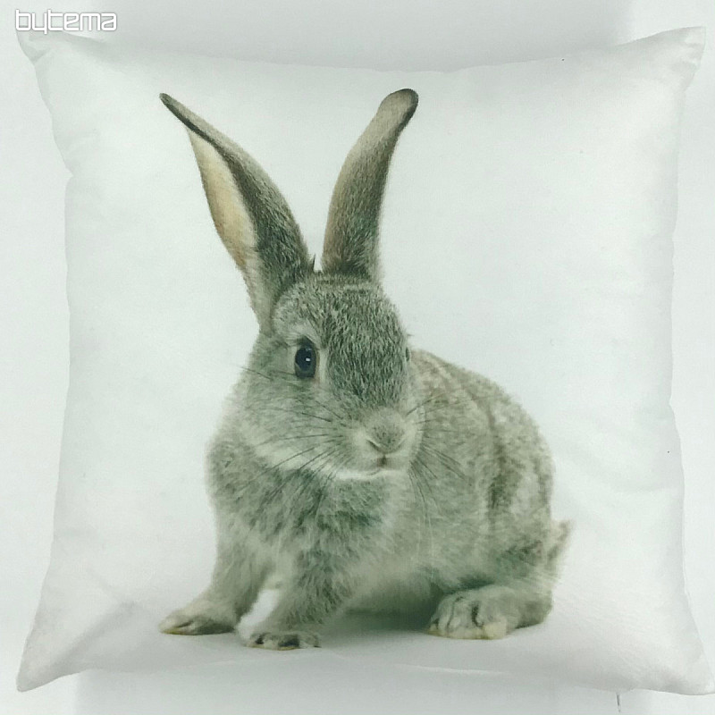Decorative pillow-case Bunn