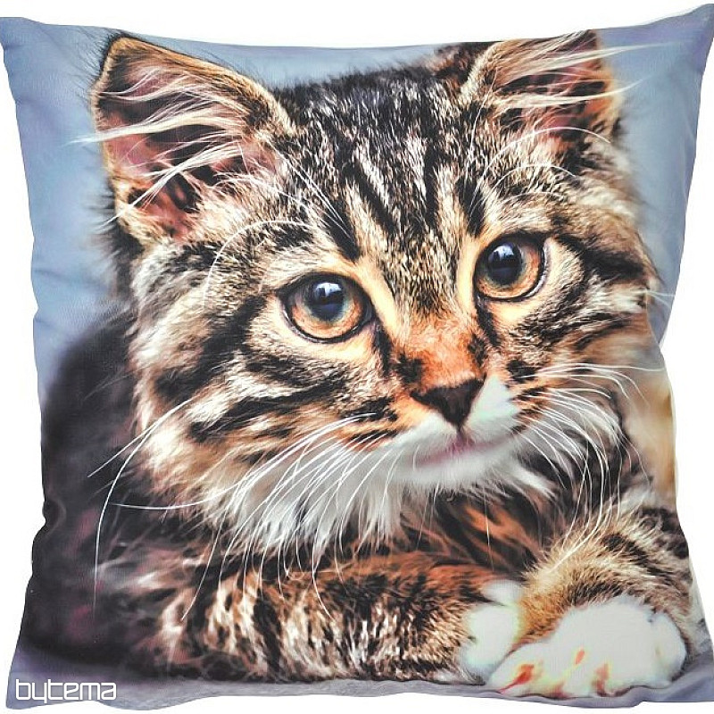 Decorative pillow-case CAT 40x40