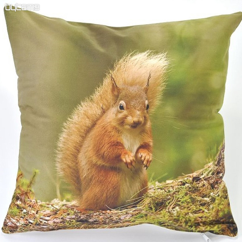 Decorative pillow-case SQUIRREL 40x40