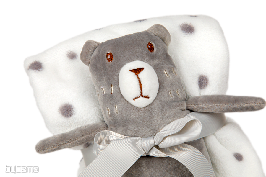 teddy bear and blanket set