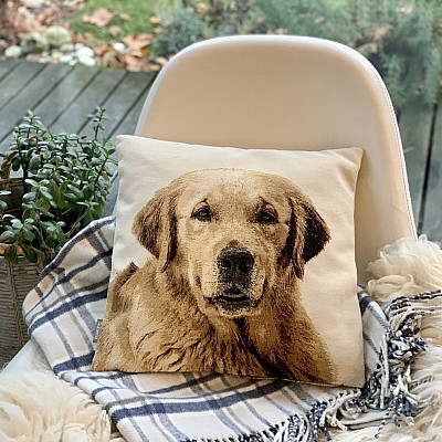 For animal lovers - softness that will tame you