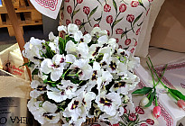Spring news