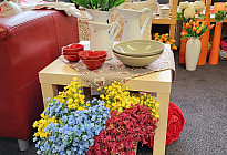 Spring news