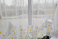 Spring news
