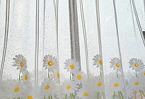 Spring news