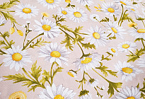 Cotton fabrics with spring and summer motifs