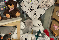The best for your little ones