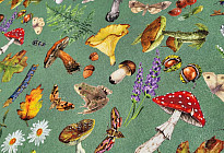 Autumn collection for your home