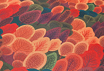 Autumn collection for your home